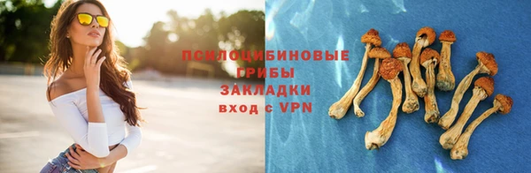 тгк Армянск
