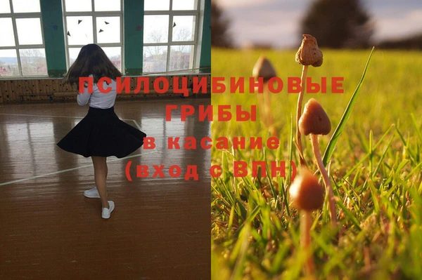 тгк Армянск