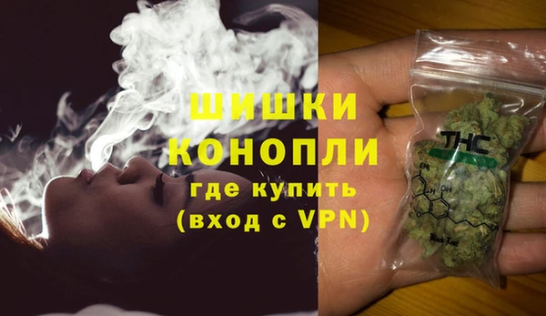 сатива Елабуга