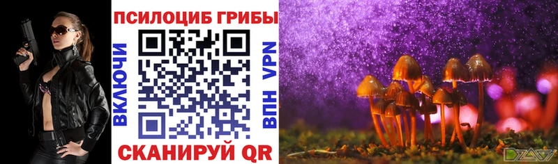 Галлюциногенные грибы Psilocybe  где купить наркотик  Ахтубинск 
